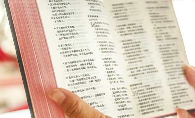 社區(qū)衛(wèi)生工作述職報(bào)告范例