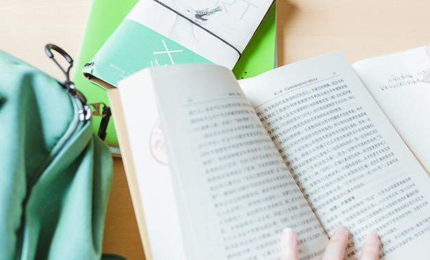德育主任個人述職報告